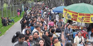 FILA PARA PARTICIPAR EN FAMILIAS EN ACCIÓN