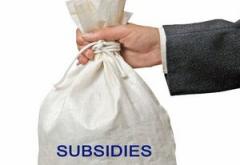 subsidies2